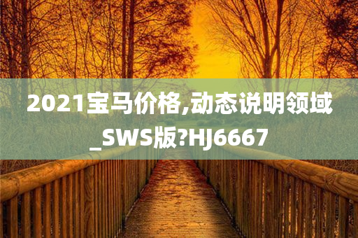 2021宝马价格,动态说明领域_SWS版?HJ6667