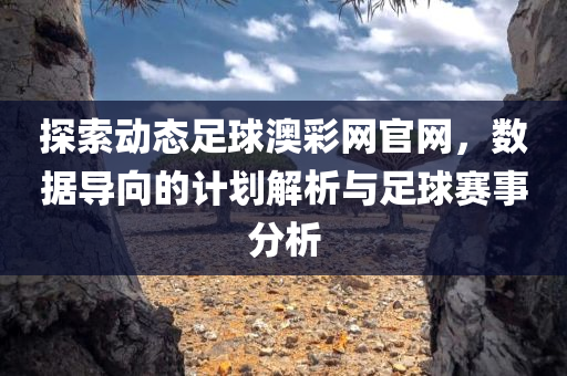 探索动态足球澳彩网官网，数据导向的计划解析与足球赛事分析