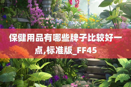 保健用品有哪些牌子比较好一点,标准版_FF45