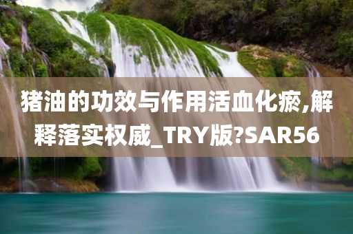 猪油的功效与作用活血化瘀,解释落实权威_TRY版?SAR56