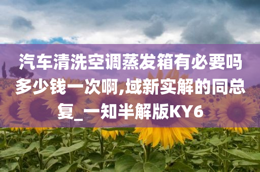 汽车清洗空调蒸发箱有必要吗多少钱一次啊,域新实解的同总复_一知半解版KY6