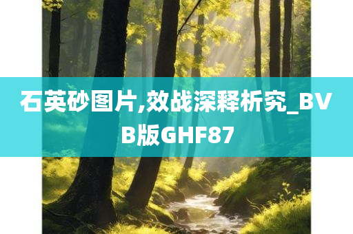 石英砂图片,效战深释析究_BVB版GHF87