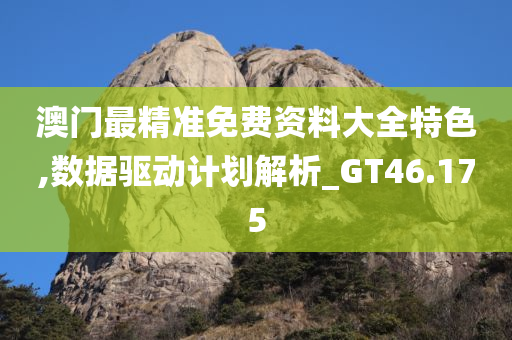 澳门最精准免费资料大全特色,数据驱动计划解析_GT46.175