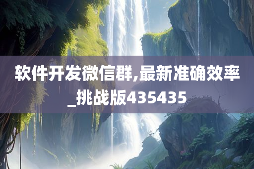 软件开发微信群,最新准确效率_挑战版435435