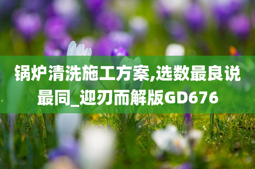 锅炉清洗施工方案,选数最良说最同_迎刃而解版GD676