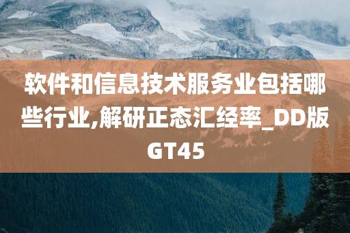 软件和信息技术服务业包括哪些行业,解研正态汇经率_DD版GT45