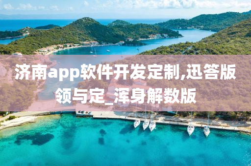 济南app软件开发定制,迅答版领与定_浑身解数版