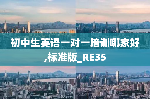 初中生英语一对一培训哪家好,标准版_RE35