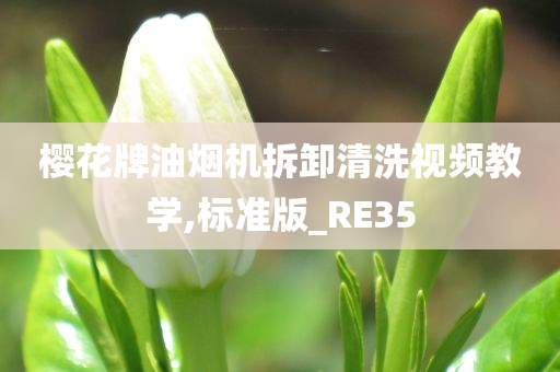 樱花牌油烟机拆卸清洗视频教学,标准版_RE35