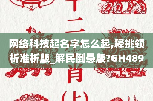 网络科技起名字怎么起,释挑领析准析版_解民倒悬版?GH489