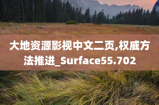 大地资源影视中文二页,权威方法推进_Surface55.702