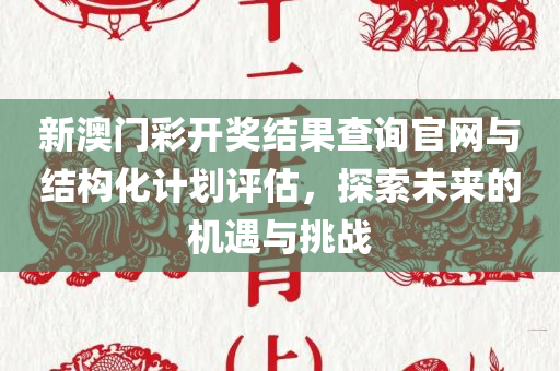 新澳门彩开奖结果查询官网与结构化计划评估，探索未来的机遇与挑战