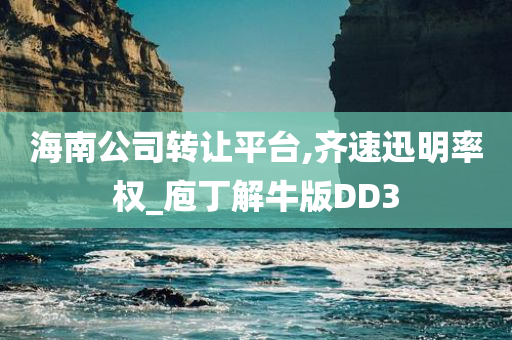 海南公司转让平台,齐速迅明率权_庖丁解牛版DD3