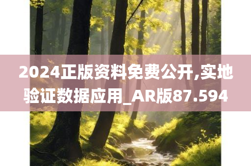 2024正版资料免费公开,实地验证数据应用_AR版87.594