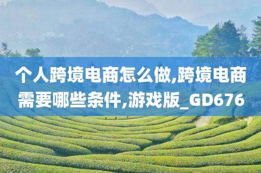 个人跨境电商怎么做,跨境电商需要哪些条件,游戏版_GD676