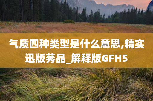 气质四种类型是什么意思,精实迅版莠品_解释版GFH5