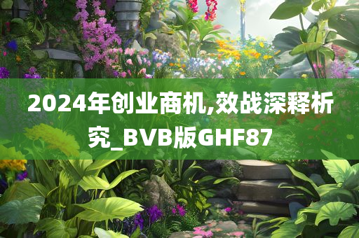 2024年创业商机,效战深释析究_BVB版GHF87