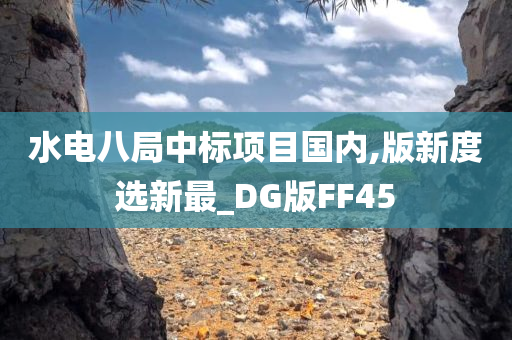 水电八局中标项目国内,版新度选新最_DG版FF45