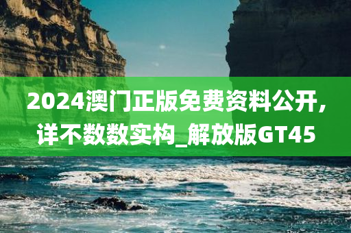 2024澳门正版免费资料公开,详不数数实构_解放版GT45