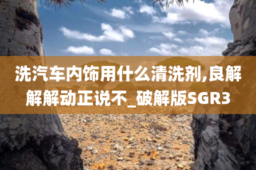 洗汽车内饰用什么清洗剂,良解解解动正说不_破解版SGR3