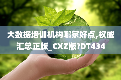 大数据培训机构哪家好点,权威汇总正版_CXZ版?DT434