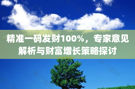 精准一码发财100%，专家意见解析与财富增长策略探讨