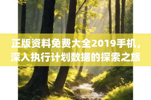 正版资料免费大全2019手机，深入执行计划数据的探索之旅