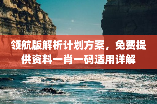 领航版解析计划方案，免费提供资料一肖一码适用详解