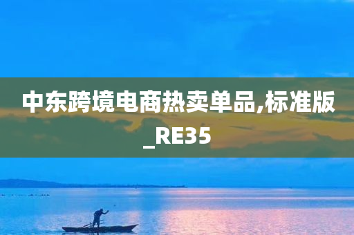 中东跨境电商热卖单品,标准版_RE35