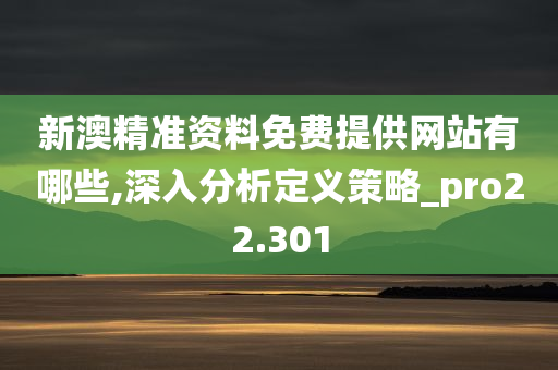 新澳精准资料免费提供网站有哪些,深入分析定义策略_pro22.301