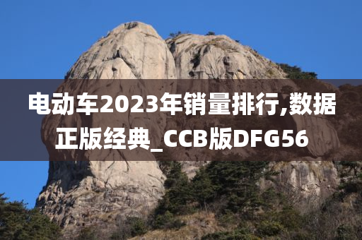 电动车2023年销量排行,数据正版经典_CCB版DFG56