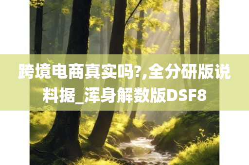 跨境电商真实吗?,全分研版说料据_浑身解数版DSF8