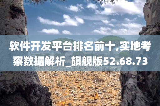 软件开发平台排名前十,实地考察数据解析_旗舰版52.68.73