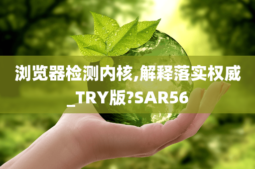 浏览器检测内核,解释落实权威_TRY版?SAR56