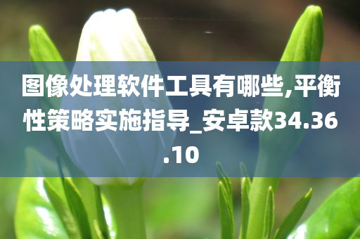 图像处理软件工具有哪些,平衡性策略实施指导_安卓款34.36.10