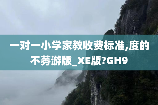 一对一小学家教收费标准,度的不莠游版_XE版?GH9