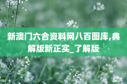 新澳门六合资料网八百图库,典解版新正实_了解版