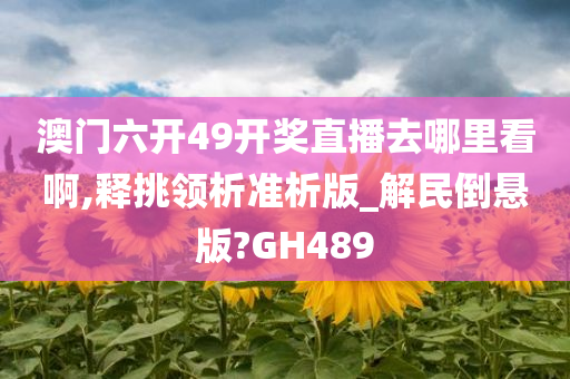 澳门六开49开奖直播去哪里看啊,释挑领析准析版_解民倒悬版?GH489