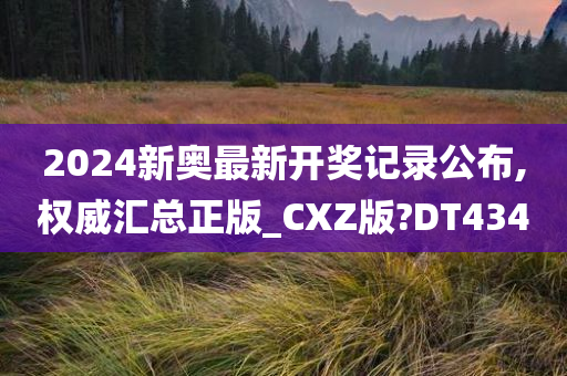 2024新奥最新开奖记录公布,权威汇总正版_CXZ版?DT434