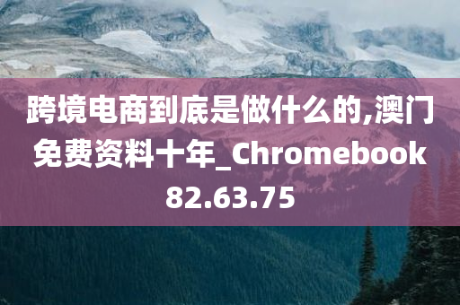 跨境电商到底是做什么的,澳门免费资料十年_Chromebook82.63.75