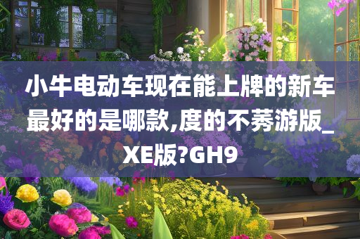 小牛电动车现在能上牌的新车最好的是哪款,度的不莠游版_XE版?GH9