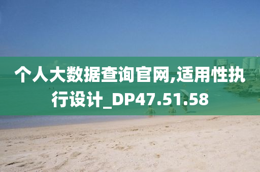 个人大数据查询官网,适用性执行设计_DP47.51.58