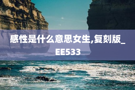 感性是什么意思女生,复刻版_EE533