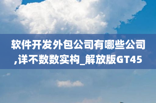 软件开发外包公司有哪些公司,详不数数实构_解放版GT45