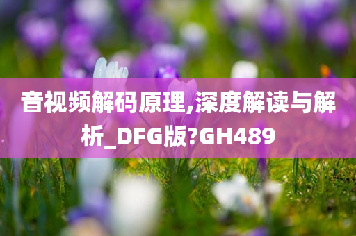 音视频解码原理,深度解读与解析_DFG版?GH489