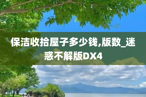 保洁收拾屋子多少钱,版数_迷惑不解版DX4