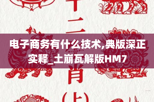 电子商务有什么技术,典版深正实释_土崩瓦解版HM7