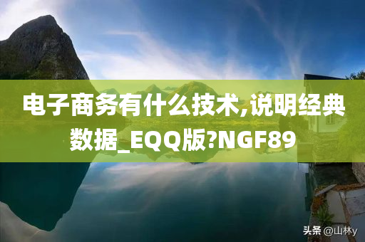 电子商务有什么技术,说明经典数据_EQQ版?NGF89