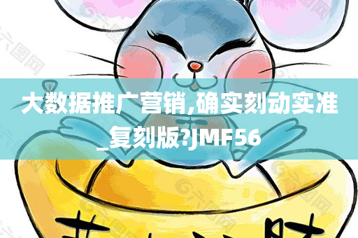 大数据推广营销,确实刻动实准_复刻版?JMF56