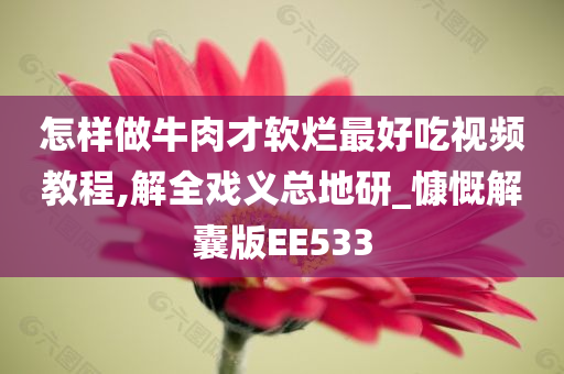 怎样做牛肉才软烂最好吃视频教程,解全戏义总地研_慷慨解囊版EE533